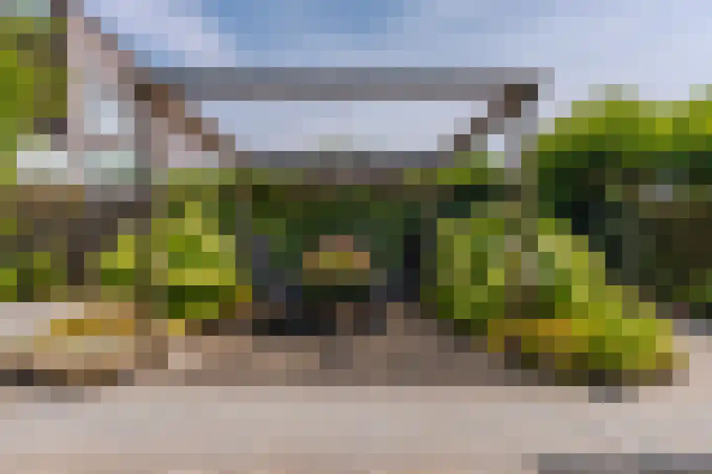 Ochtendnevel 16 Elst thumbnail 30