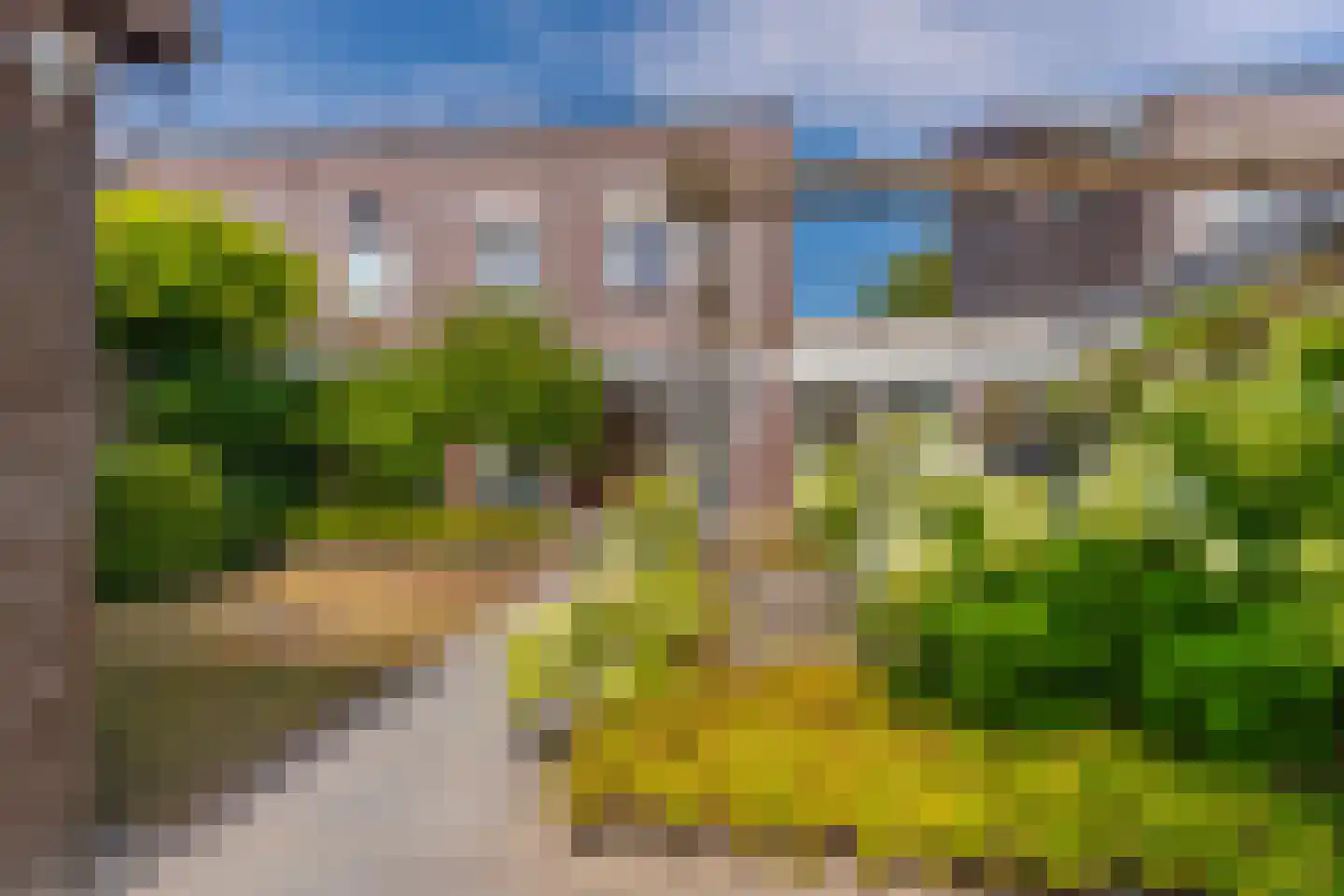 Ochtendnevel 16 Elst thumbnail 32