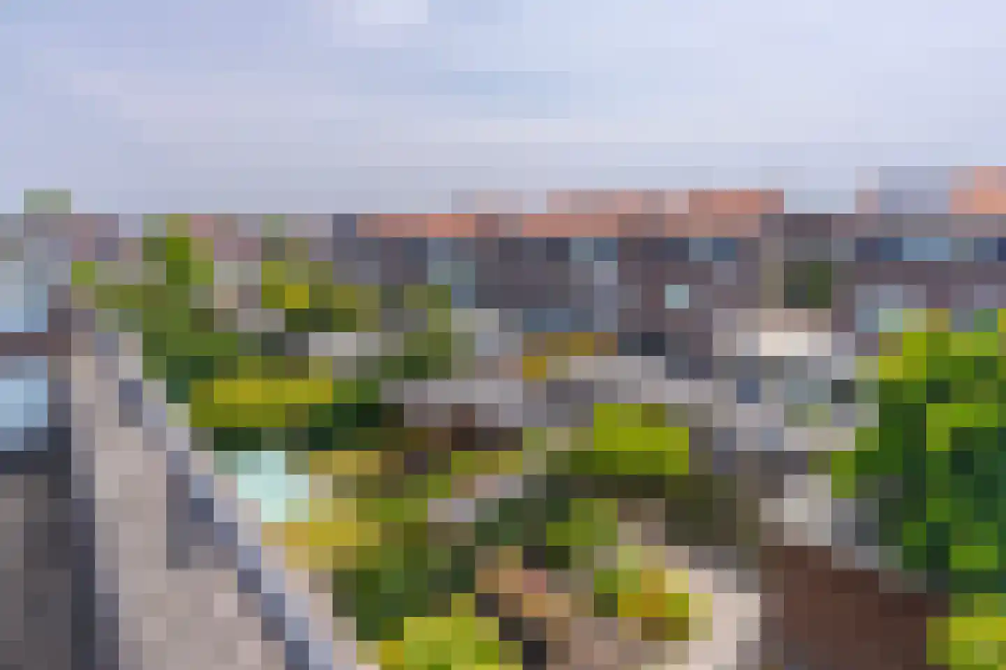 Ochtendnevel 16 Elst thumbnail 47