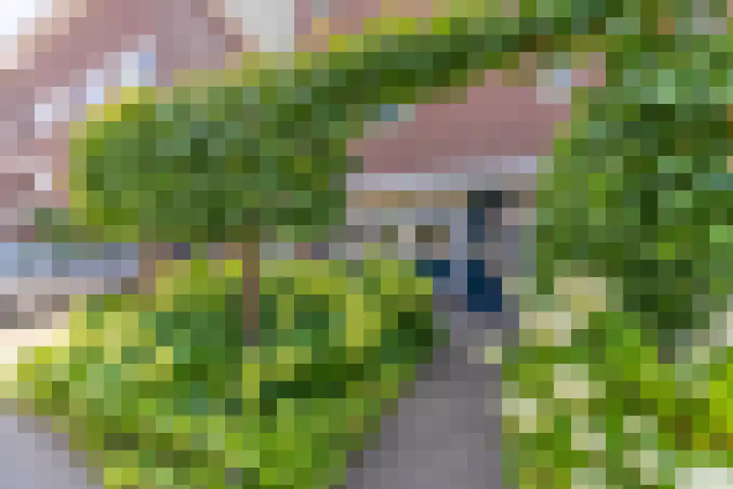 Ochtendnevel 16 Elst thumbnail 5
