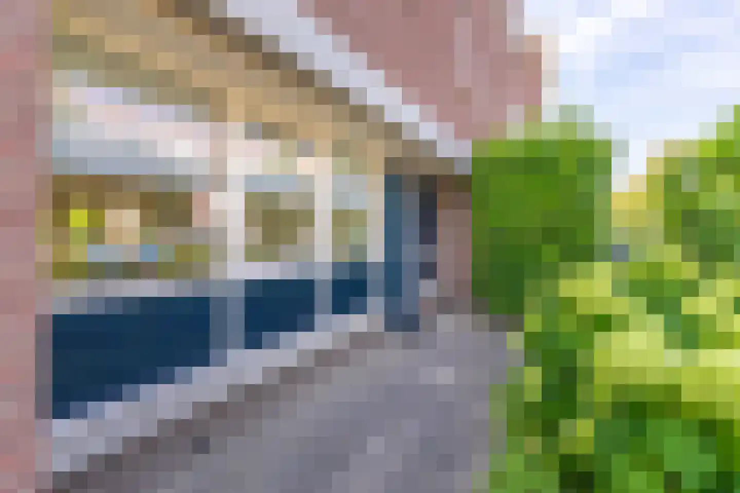 Ochtendnevel 16 Elst thumbnail 7