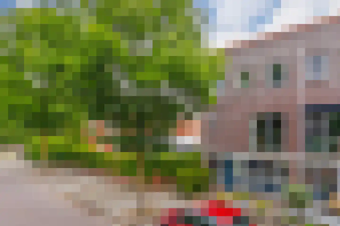 Ochtendnevel 5 Elst