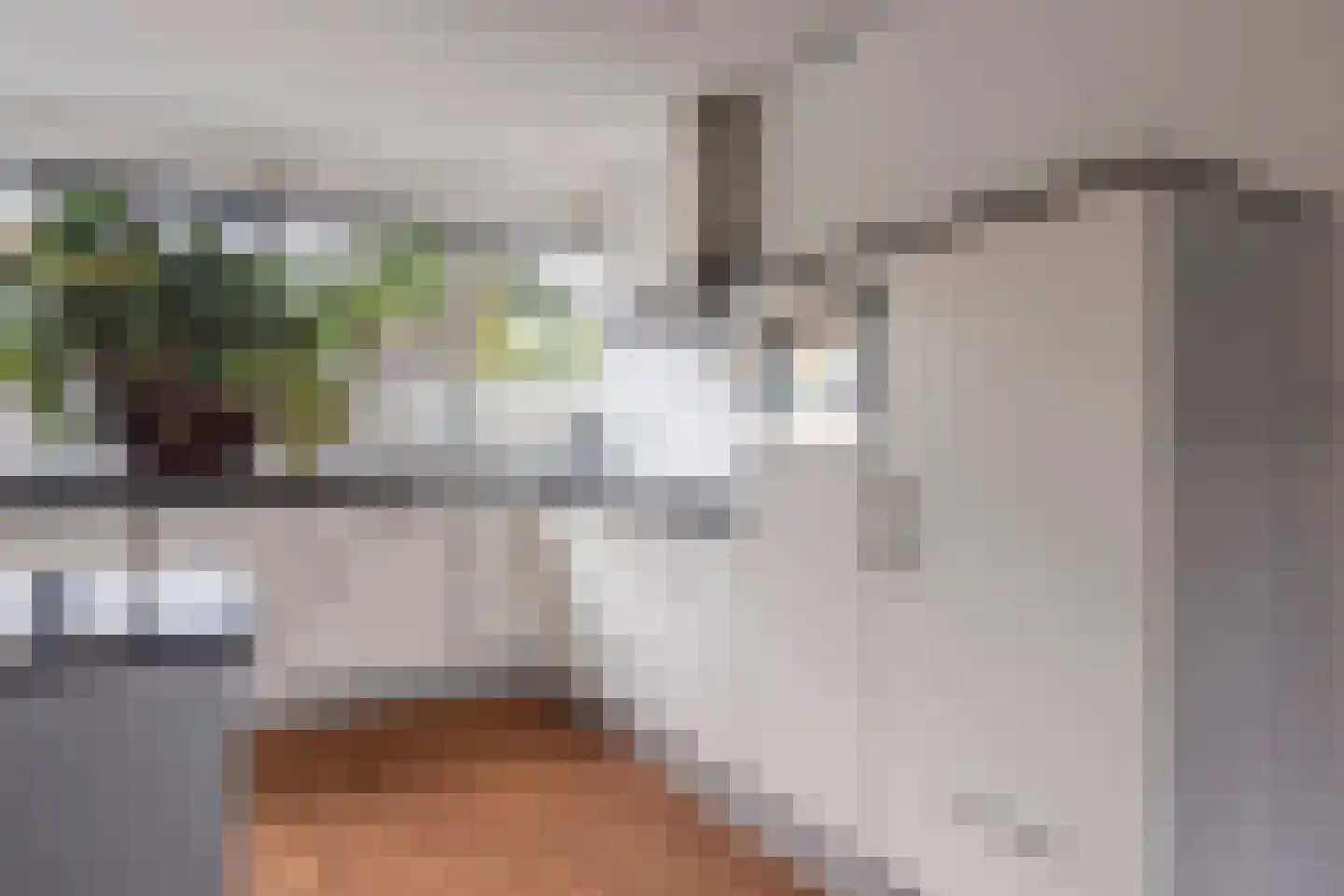 Ochtendnevel 5 Elst thumbnail 11