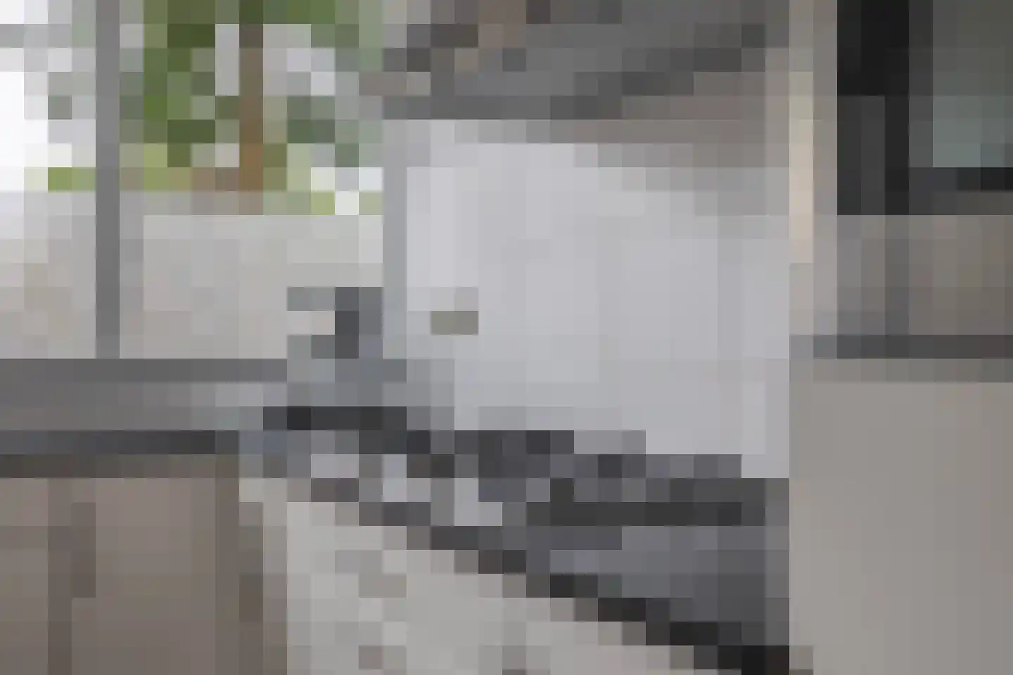 Ochtendnevel 5 Elst thumbnail 12