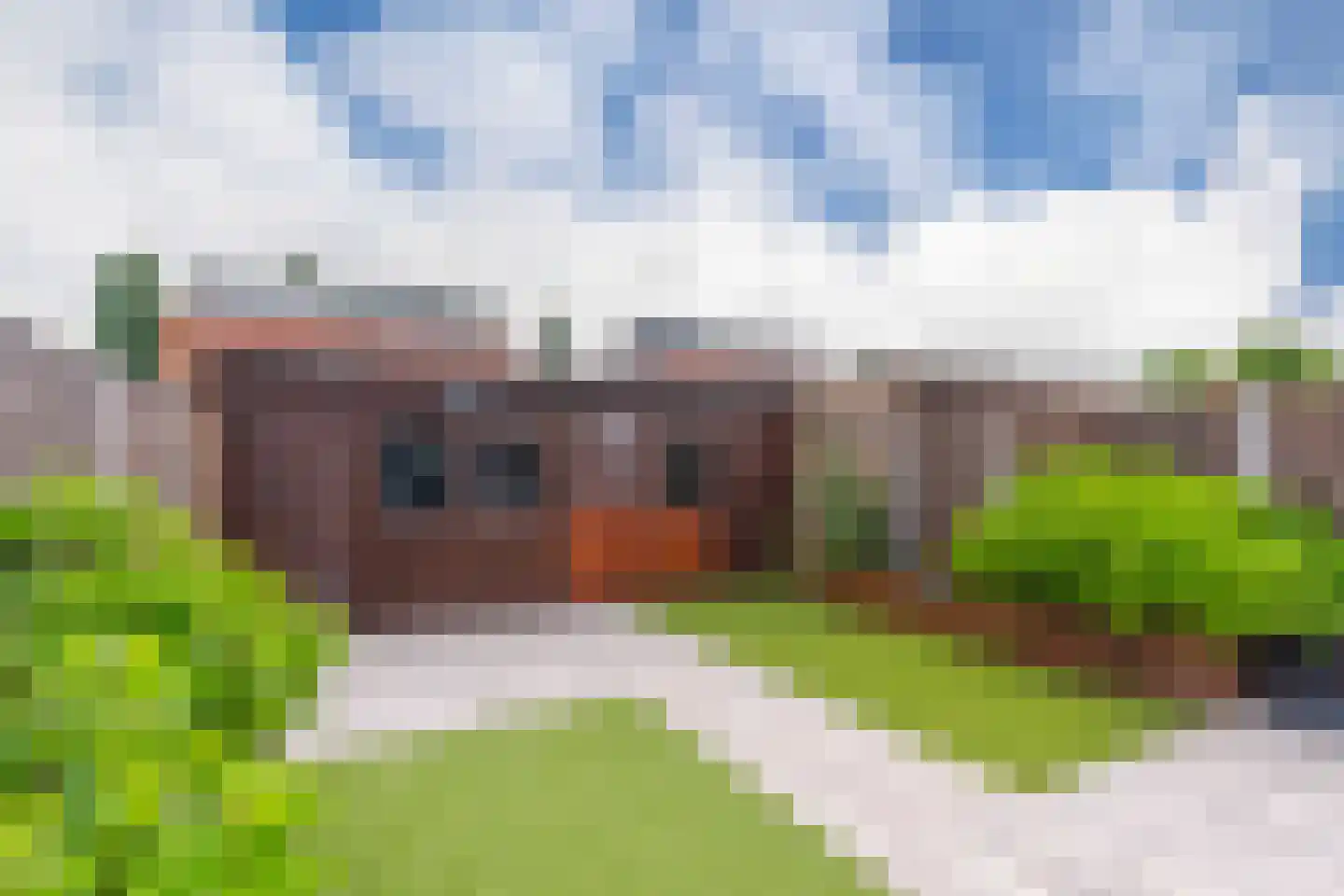 Ochtendnevel 5 Elst thumbnail 22