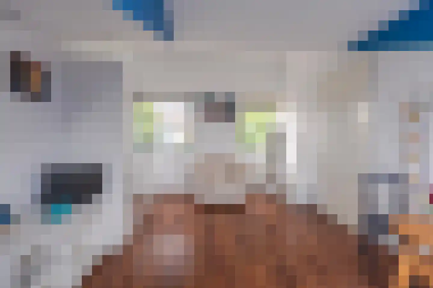 Ochtendnevel 5 Elst thumbnail 35