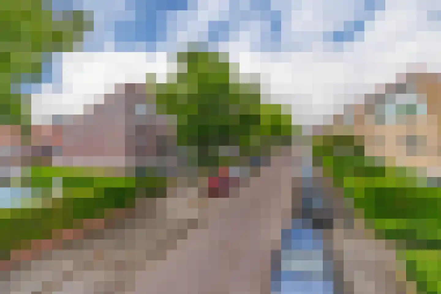 Ochtendnevel 5 Elst thumbnail 4