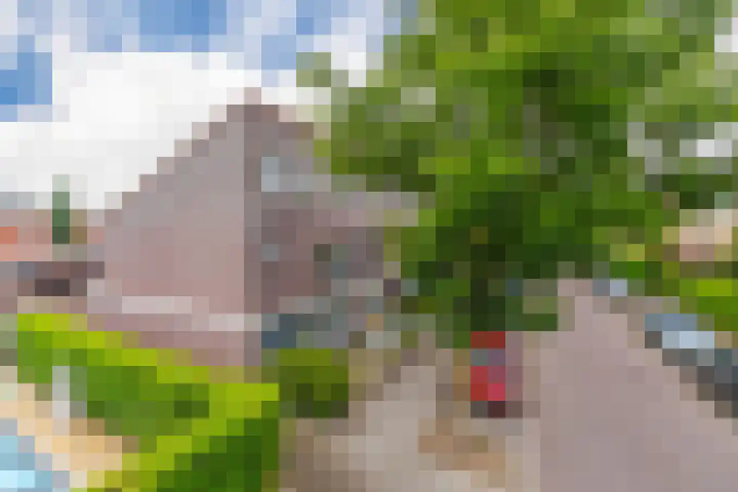 Ochtendnevel 5 Elst thumbnail 5