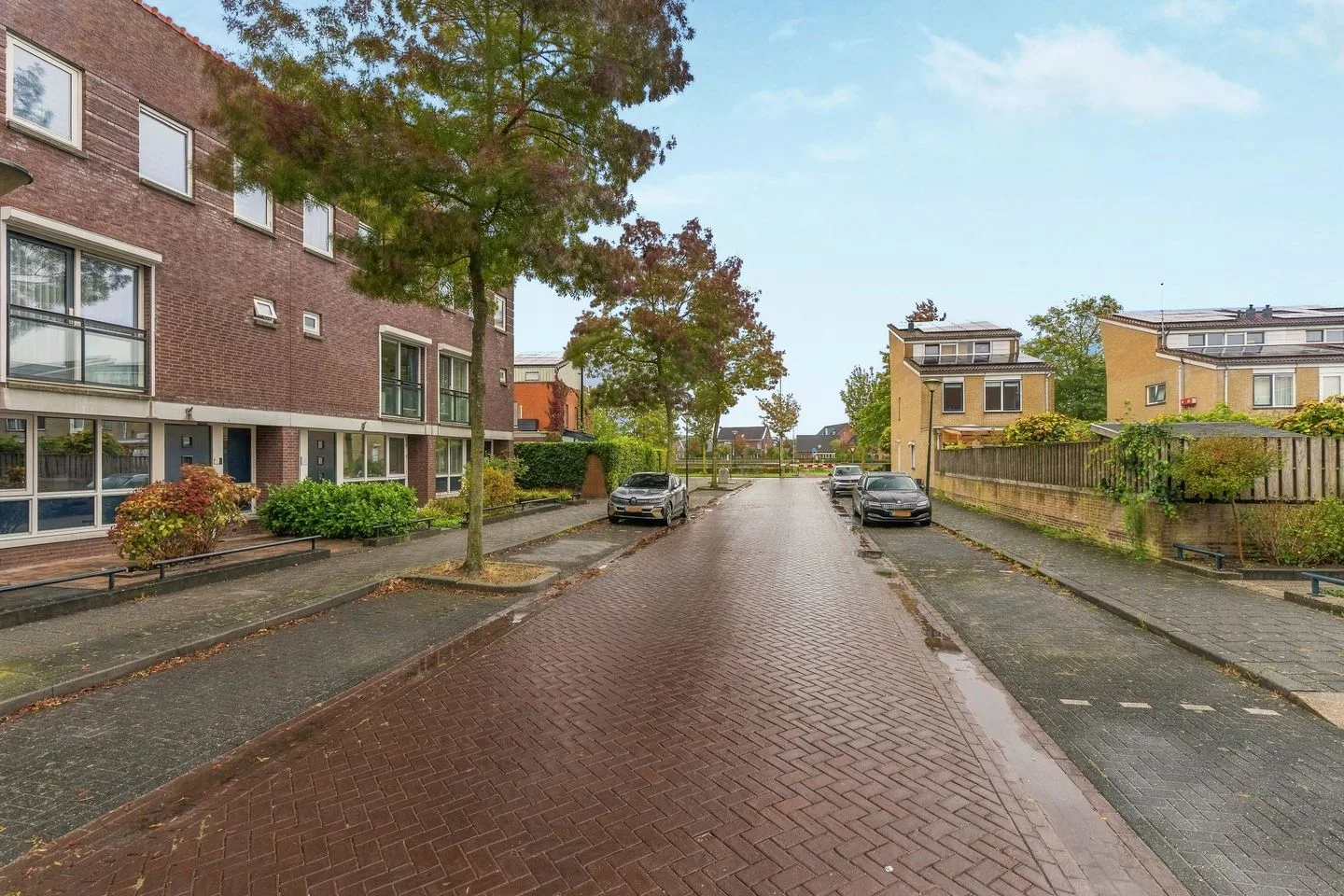 Ochtendnevel 63 Elst thumbnail 43