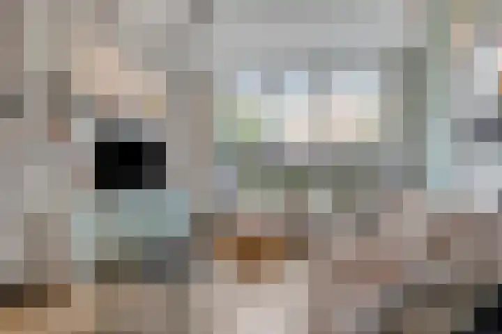 Ochtenstraat 17 Benthuizen thumbnail 10