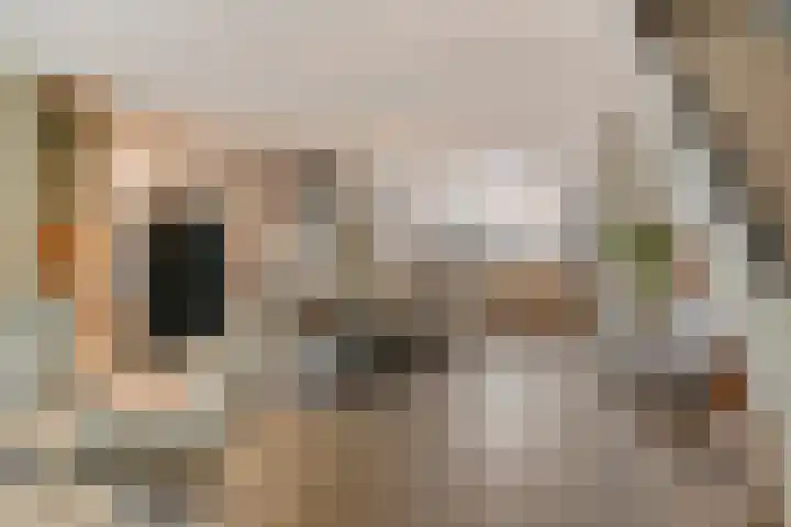 Ochtenstraat 17 Benthuizen thumbnail 8