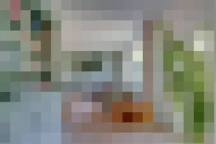 Ockeghemlaan 14 Bilthoven thumbnail 11