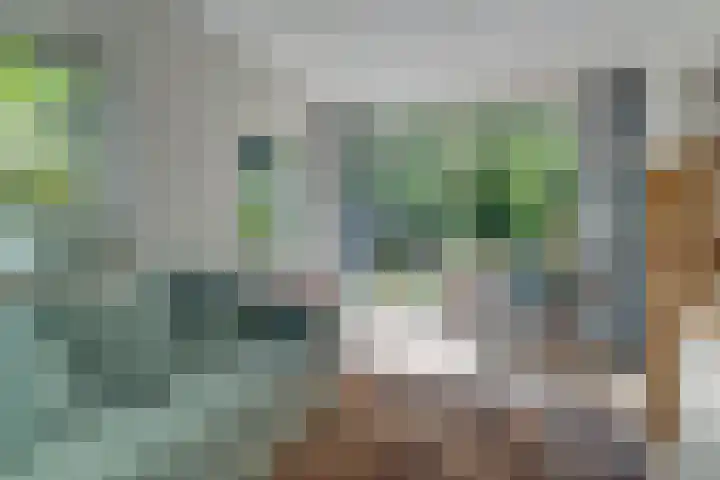 Ockeghemlaan 14 Bilthoven thumbnail 24
