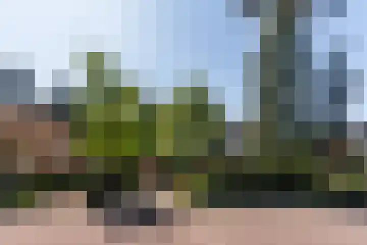 Ockeghemlaan 14 Bilthoven thumbnail 4
