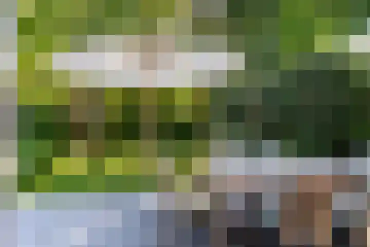 Ockeghemlaan 14 Bilthoven thumbnail 43