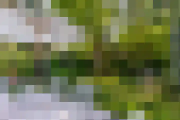 Ockeghemlaan 14 Bilthoven thumbnail 46