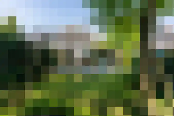 Ockeghemlaan 14 Bilthoven thumbnail 47