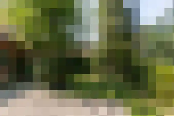 Ockeghemlaan 14 Bilthoven thumbnail 48