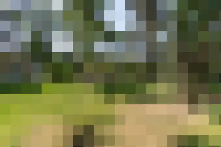 Ockeghemlaan 14 Bilthoven thumbnail 49