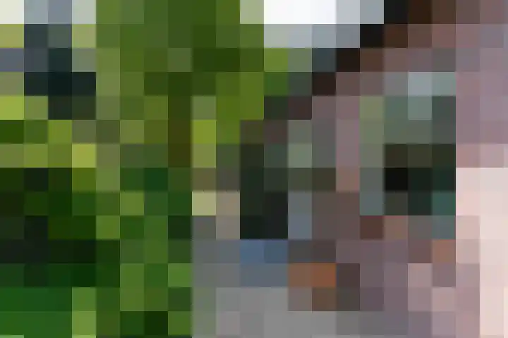 Ockeghemlaan 14 Bilthoven thumbnail 5