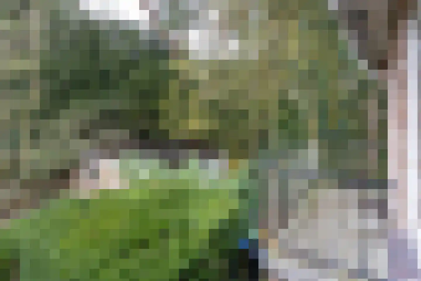 Ockeghemlaan 23 Bilthoven thumbnail 22