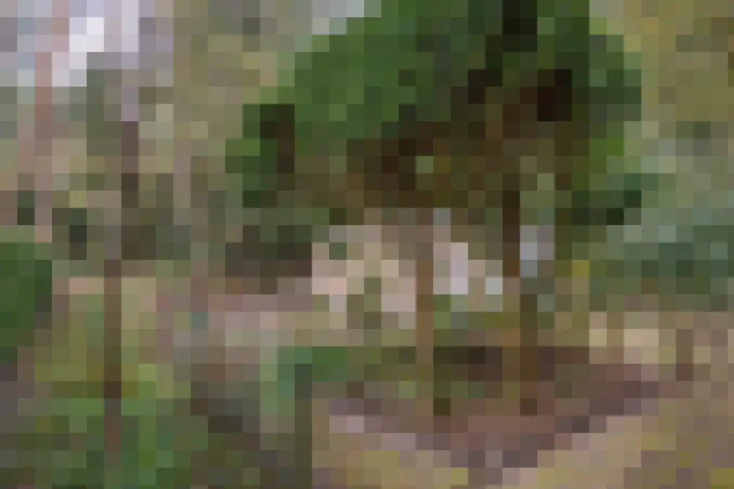 Ockeghemlaan 23 Bilthoven thumbnail 27