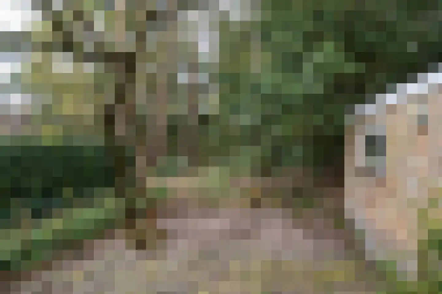 Ockeghemlaan 23 Bilthoven thumbnail 28