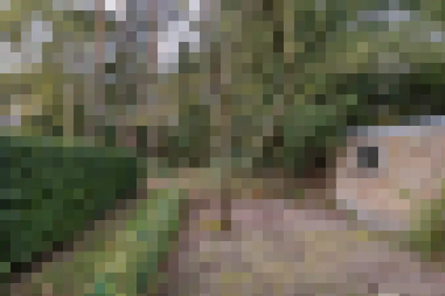 Ockeghemlaan 23 Bilthoven thumbnail 29