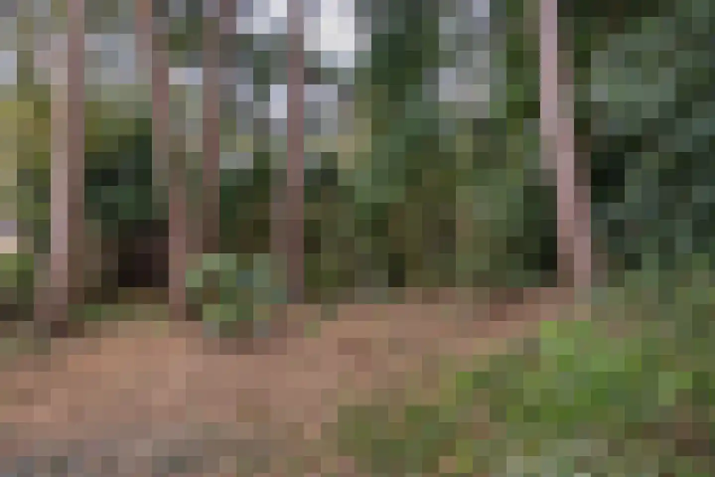 Ockeghemlaan 23 Bilthoven thumbnail 30