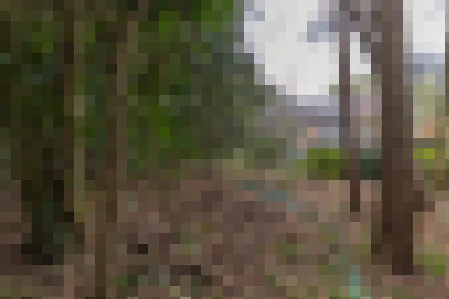Ockeghemlaan 23 Bilthoven thumbnail 31