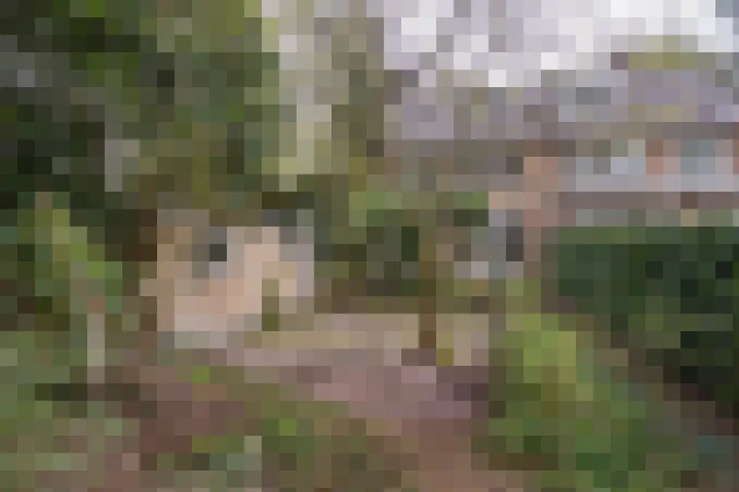 Ockeghemlaan 23 Bilthoven thumbnail 33