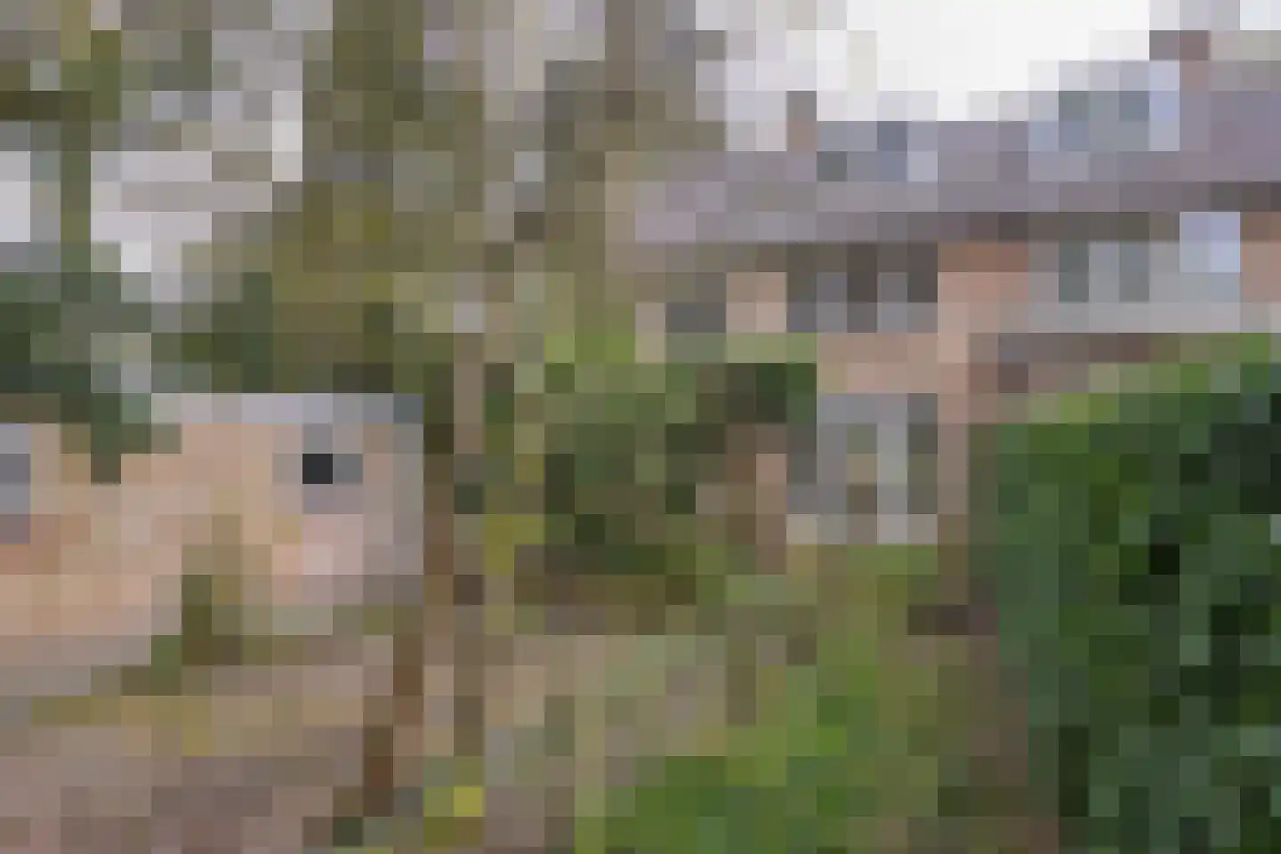 Ockeghemlaan 23 Bilthoven thumbnail 34