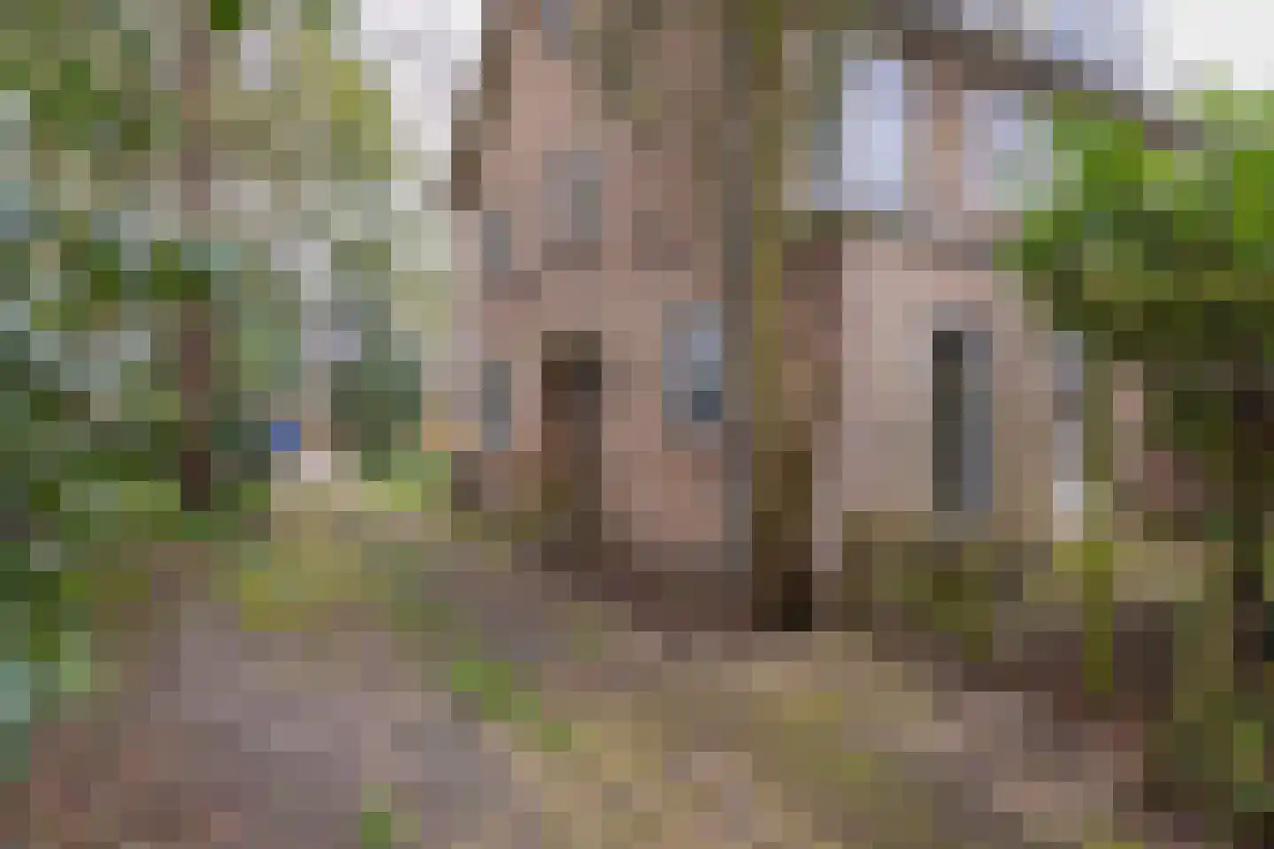 Ockeghemlaan 23 Bilthoven thumbnail 38
