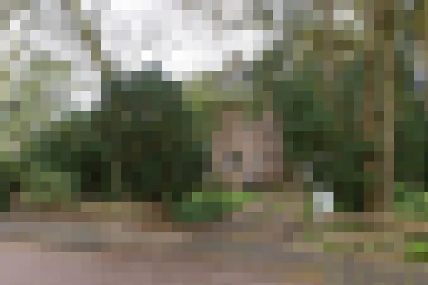 Ockeghemlaan 23 Bilthoven thumbnail 40
