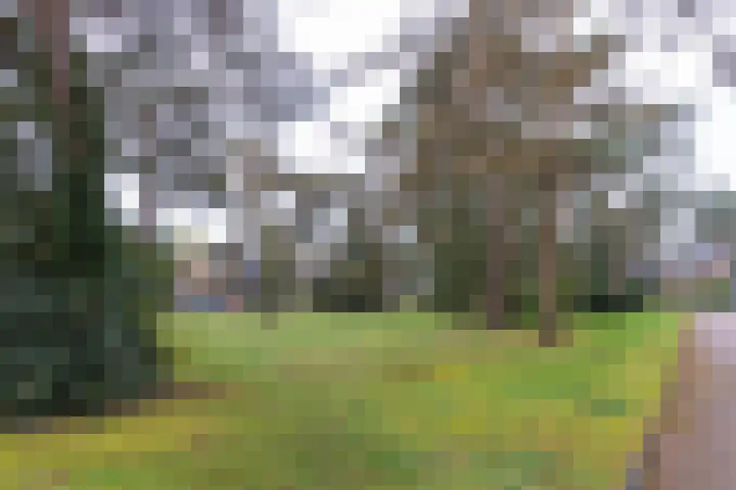 Ockeghemlaan 23 Bilthoven thumbnail 42