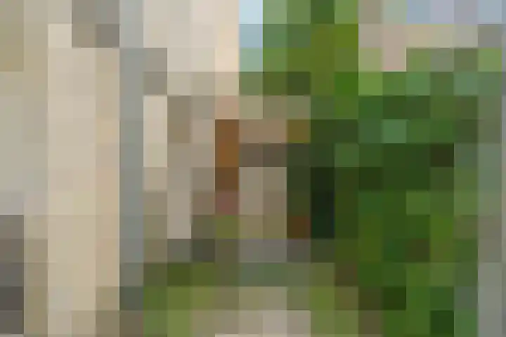 Ockeghemlaan 37 Arnhem thumbnail 36