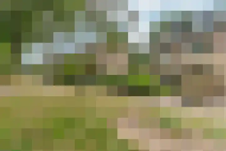 Ockeghemlaan 37 Arnhem thumbnail 38
