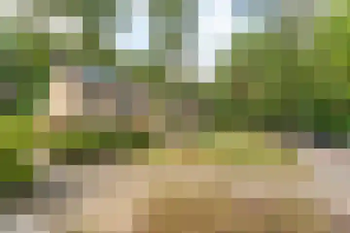Ockeghemlaan 37 Arnhem thumbnail 39