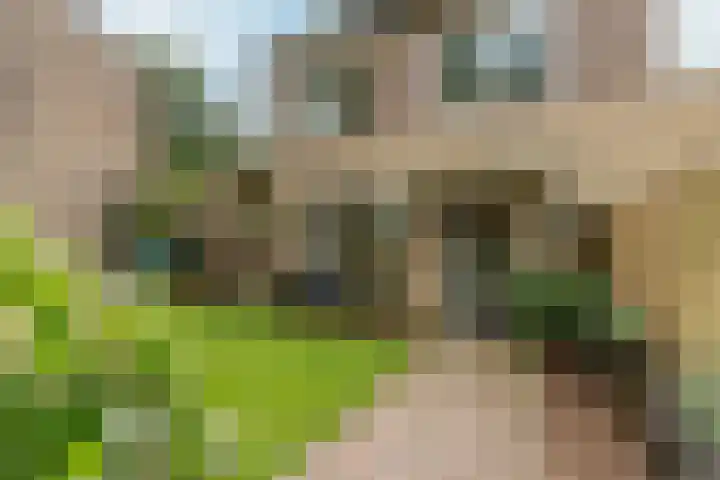 Ockeghemlaan 37 Arnhem thumbnail 6