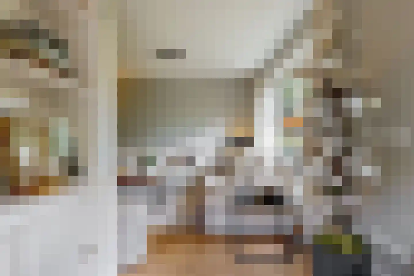 Ockeghemlaan 9 Bilthoven thumbnail 21