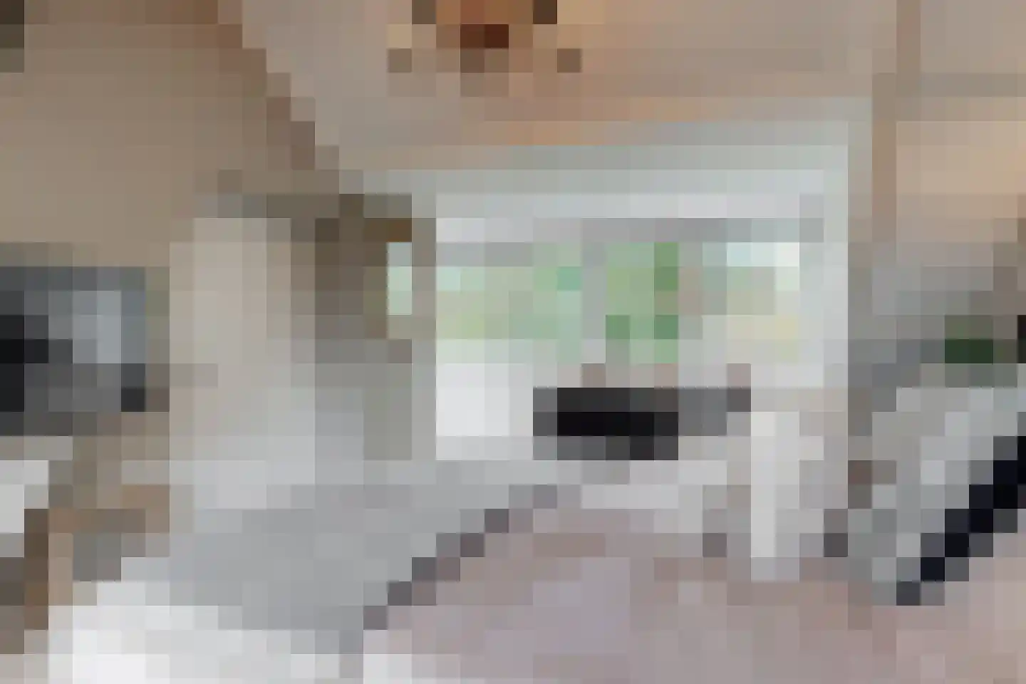 Ockeghemlaan 9 Bilthoven thumbnail 37