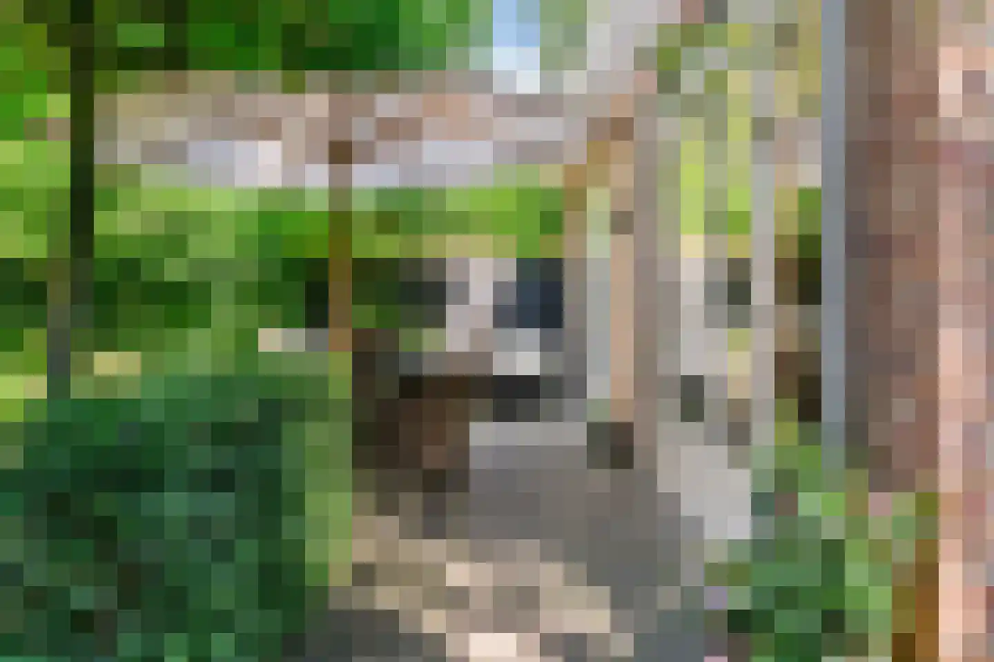 Ockeghemlaan 9 Bilthoven thumbnail 43