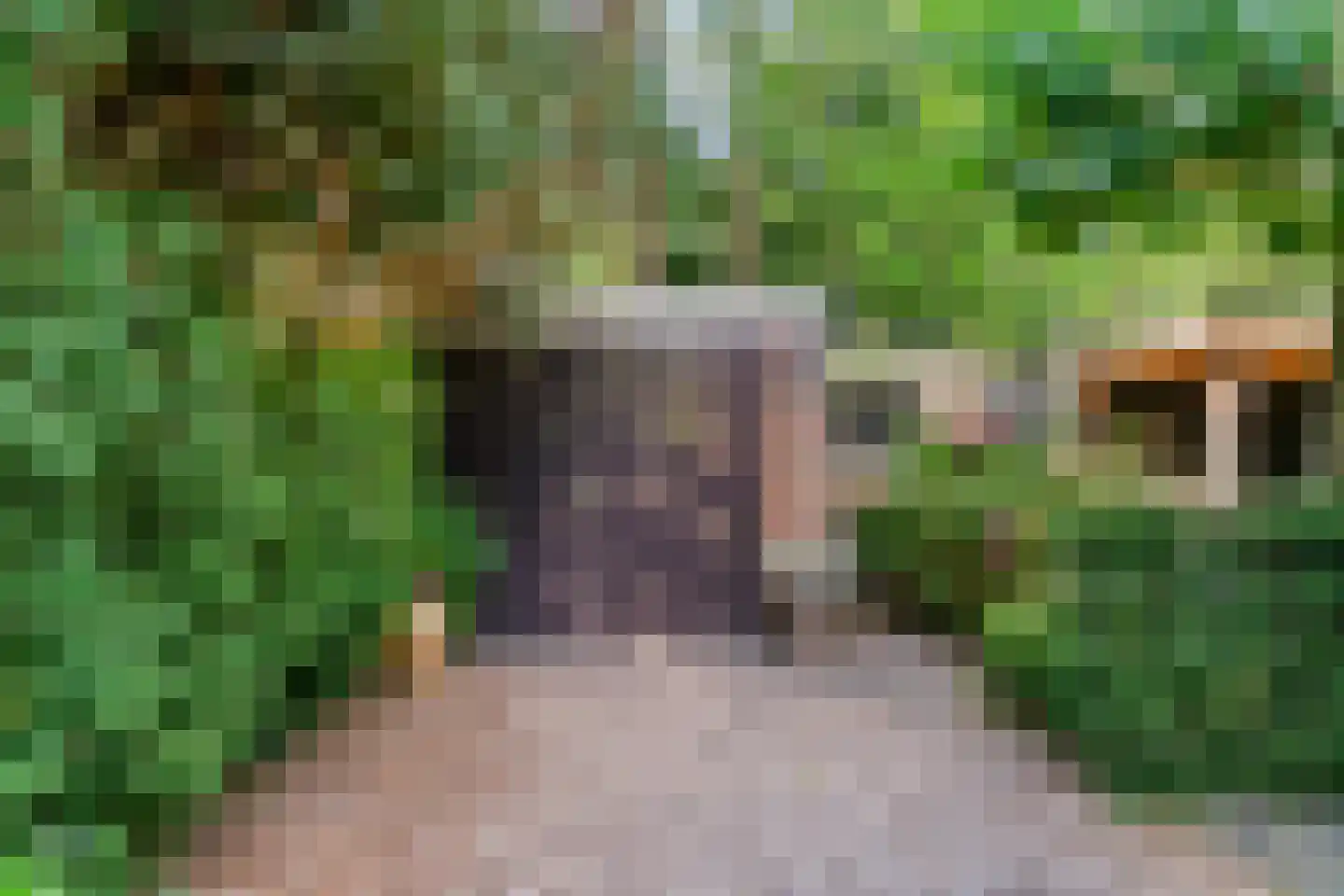 Ockeghemlaan 9 Bilthoven thumbnail 45