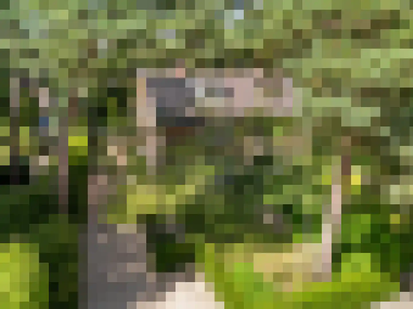 Ockeghemlaan 9 Bilthoven thumbnail 50