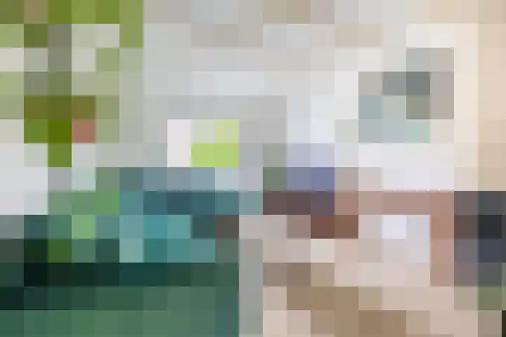 Ockeghemstraat 11 Eindhoven thumbnail 10