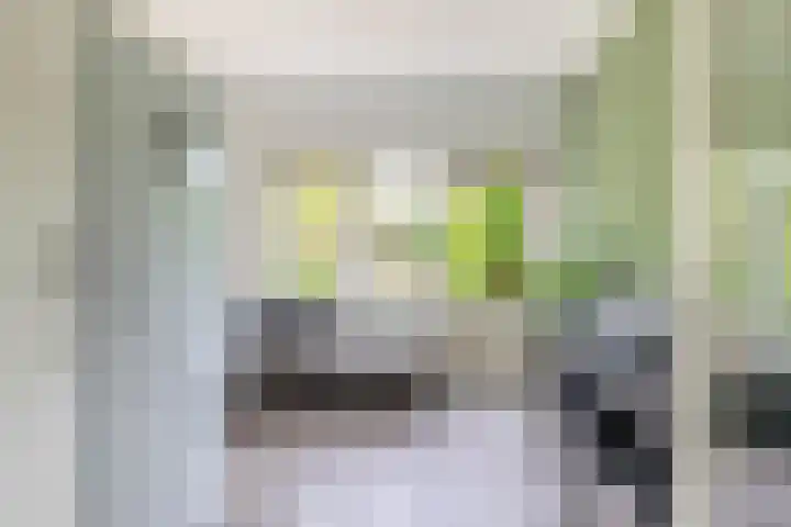 Ockeghemstraat 11 Eindhoven thumbnail 16