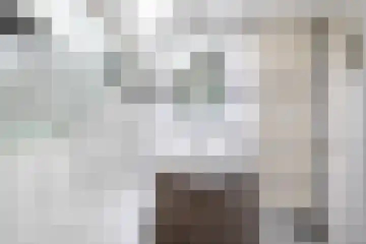Ockeghemstraat 11 Eindhoven thumbnail 21