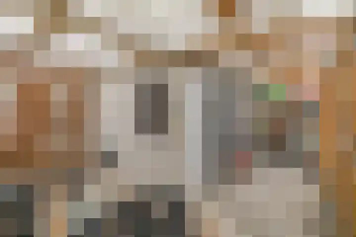 Ockeghemstraat 11 Eindhoven thumbnail 31