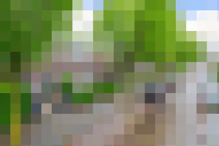 Ockeghemstraat 11 Eindhoven thumbnail 32