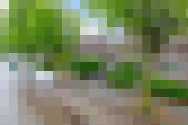 Ockeghemstraat 11 Eindhoven thumbnail 33